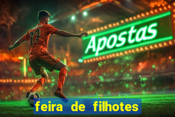 feira de filhotes porto alegre